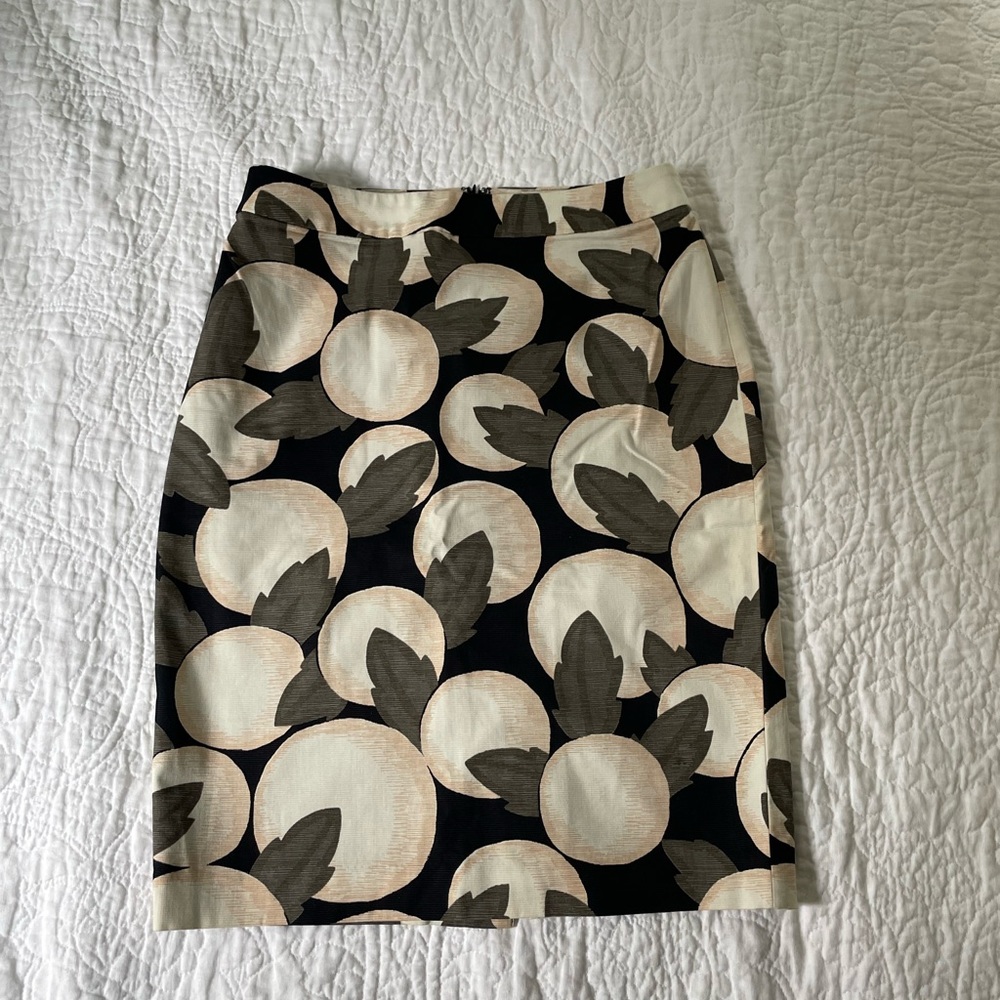 Ann Taylor Pencil Skirt Size 4